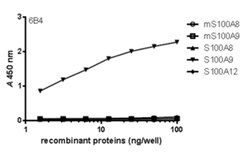 MilliporeSigma Mouse anti-S100A9, Clone: 6B4, 100&mu;g:Antibodies, Monoclonal